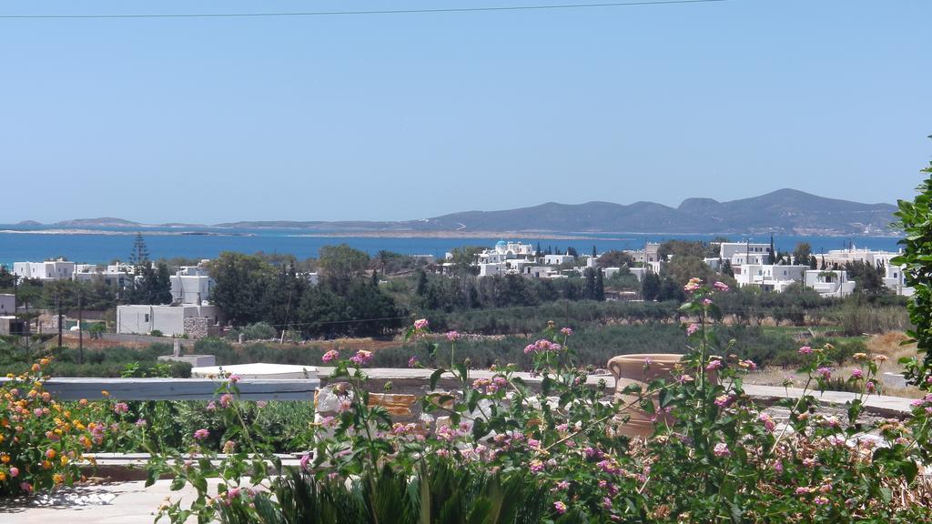 Narkissos Studios Alikí Kamer foto
